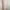 MIGHT WEAR Pink Victorian Lace Collar Vintage Nightgown photo 6