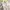 LOUARGE White Floral LongSleeve Lace Vintage Nightgown Dress photo 5