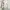 LOUARGE White Floral LongSleeve Lace Vintage Nightgown Dress photo 6