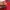 Crumpler The Soupandsalad Red-White Slingbag original photo 10