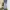 OOTJ Baggy blue faded jeans made in Seoul photo 1