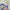 Y2K Futurist Cami top Wanita multicolor blue photo 5