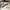 AIR JORDAN 1 MID SE WHITE BLACK MULTICOLOUR photo 7
