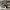AIR JORDAN 1 MID SE WHITE BLACK MULTICOLOUR photo 3