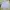 POLHAM OXFORD CITYBOY GREY LONGSHIRT photo 1