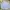 POLHAM OXFORD CITYBOY GREY LONGSHIRT photo 4
