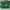 NIKE DUNK OFF WHITE PINE GREEN photo 5