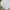 LAFUDGESTORE CITYBOY SHIRT SIDE POCKET BROKEN WHITE photo 2