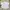 LAFUDGESTORE CITYBOY SHIRT SIDE POCKET BROKEN WHITE photo 4