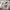 NEW BALANCE RC 1300 HIKING TRAIL RUN  photo 6