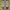 NEW BALANCE RC 1300 HIKING TRAIL RUN  photo 4