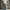 Raw Denim Straightpants Distressed photo 7