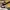 AIR JORDAN 1 HIGH ZOOM CMFT ROOKIE OF THE YEARS photo 7