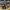 AIR JORDAN 1 HIGH ZOOM CMFT ROOKIE OF THE YEARS photo 3