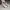 Sepatu Skechers wanita photo 7