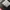 AIR JORDAN 1 LOW REVERSE BLACK TOE photo 8