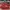 AIR JORDAN 1 LOW REVERSE BLACK TOE photo 5