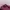Fjallraven Kanken Classic Maroon Ox Navy Backpack Original photo 6
