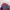 Fjallraven Kanken Classic Maroon Ox Navy Backpack Original photo 2