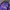 Adidas Sportswear Jersey Pria purple gray blue photo 2