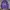 Adidas Sportswear Jersey Pria purple gray blue photo 3