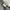 Nike Y2K Sportswear Hoody Pria gray photo 7