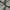 Nike Y2K Sportswear Hoody Pria gray photo 6