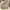 Palladium Boots Pampa Hi photo 1