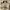 Palladium Boots Pampa Hi photo 4