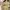 Palladium Boots Pampa Hi photo 5