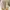 Palladium Boots Pampa Hi photo 2
