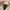 Palladium Boots Pampa Hi photo 6