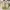 Palladium Boots Pampa Hi photo 3