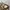 JORTS PANTS CARGO D0R3N6 FAROS photo 4