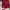 celana pendek hw maroon love bonito size S (-) photo 2