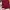 Celana Pendek Hw Maroon Love Bonito Size S (-)