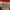 bayern lifestyler jersey photo 5