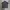 HAROLDS GEAR WORKSHIRT LIKE STUSSY photo 1