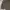 HARDY MARTIN BROWN WORKSHIRT BOXXY photo 2