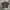HARDY MARTIN BROWN WORKSHIRT BOXXY photo 1