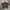 HARDY MARTIN BROWN WORKSHIRT BOXXY