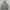 thisisneverthat Streetwear Casual Sweater Pria gray photo 1