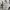 thisisneverthat Streetwear Casual Sweater Pria gray photo 5