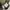 Valentino Vintage Luxury Sweatshirt Pria green photo 4