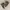 CATERPILLAR MOCTOE Vintage Good Condition photo 6