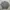 Gianni Valentino Vintage Luxury Sweatshirt Pria Gray