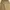 Y2k Khaki Baloon Pants Cotton Japan 2000s photo 2