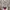 atasan crop bunga lengan balon poci premi photo 4