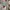 atasan crop bunga lengan balon poci premi photo 1
