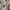 atasan crop bunga lengan balon poci premi photo 6